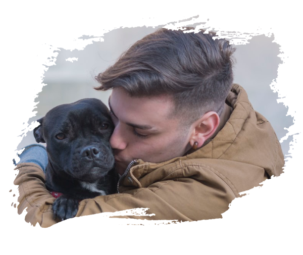 Pet Training in Nashville